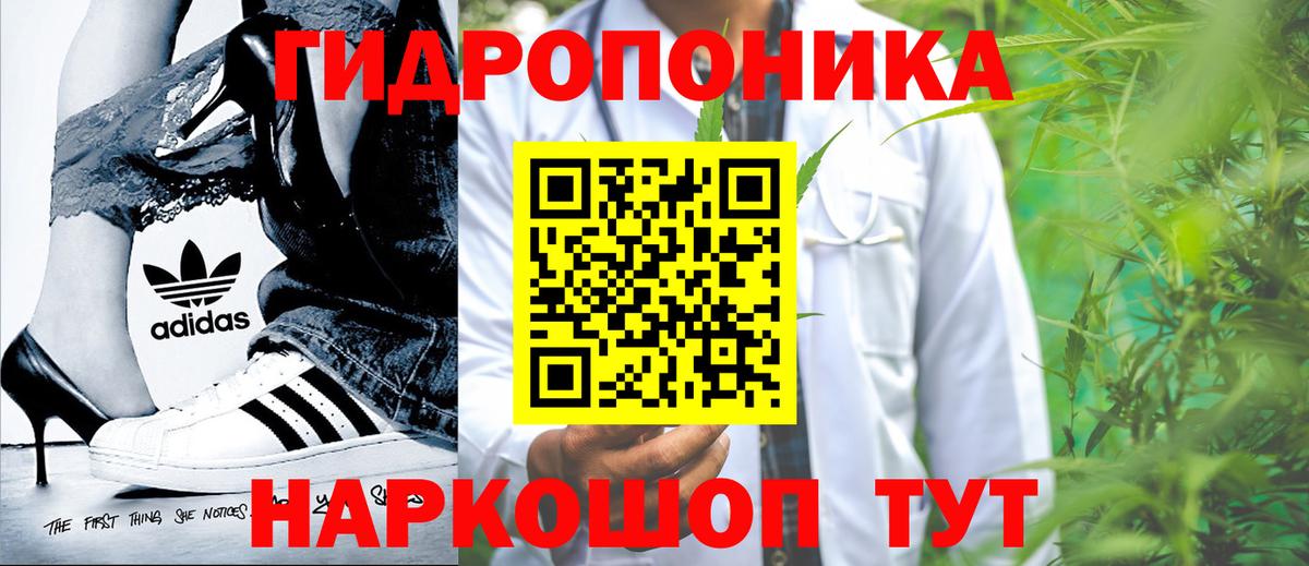 Каннабис марихуана Санкт-Петербург